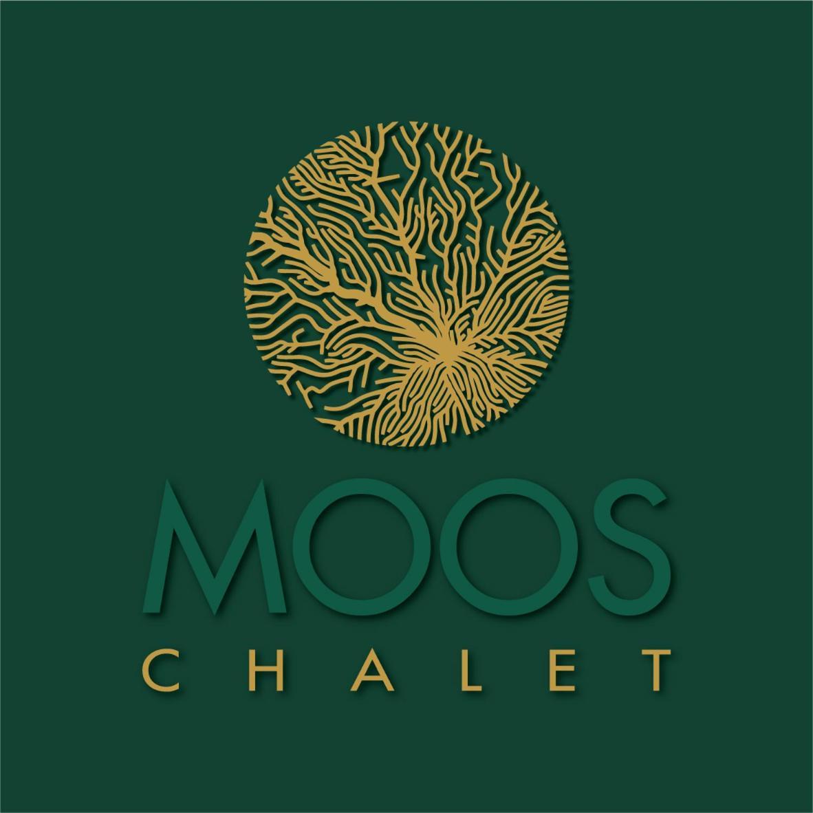 Chalet Moos Bed & Breakfast ทอดท์โมส ภายนอก รูปภาพ